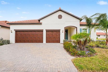 New construction Single-Family house 17415 Holly Well Ave, Wimauma, FL 33598 - image