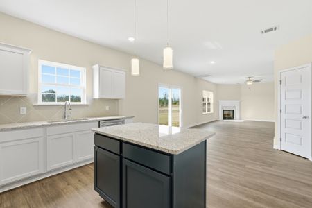 New construction Single-Family house 9125 Tibet Hwy Se, Allenhurst, GA 31301 plan The Richland - image 11