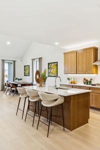 New construction Single-Family house 15036 Elite Dr, Aledo, TX 76008 plan Winters - image 10