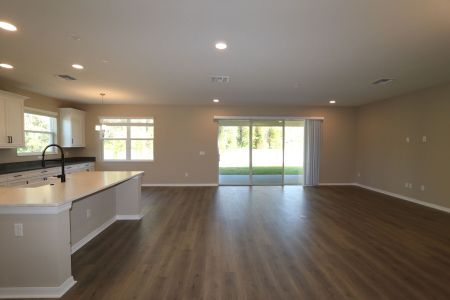 New construction Single-Family house 20219 Oriana Loop, Land O' Lakes, FL 34638 Corina  III- photo 63 63