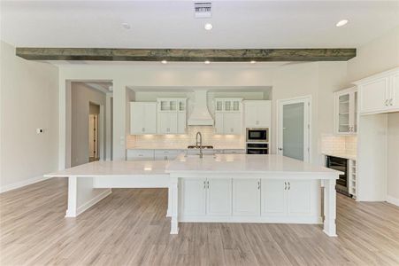 New construction Single-Family house 10073 Meadowrun Dr, Fish Hawk, FL 33547 plan Key West II - image 9