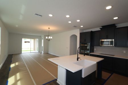 New construction Single-Family house 33227 Amling Pecan Br, Wesley Chapel, FL 33545 Newport II- photo 46 46