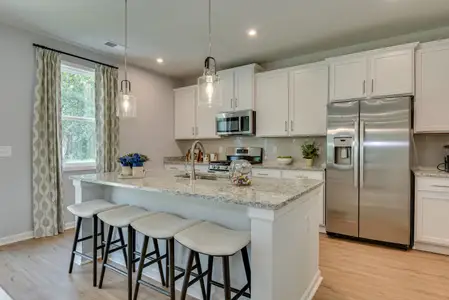 New construction Single-Family house 250 Summer Orchard Dr, Lexington, SC 29072 plan The Hollins - image