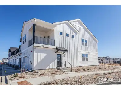New construction Multi-Family house 1821 Bounty Dr, Unit 1, Windsor, CO 80550 Ford- photo 0
