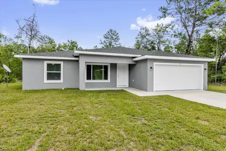 New construction Single-Family house 11 Malauka Lane Dr, Ocklawaha, FL 32179 - image
