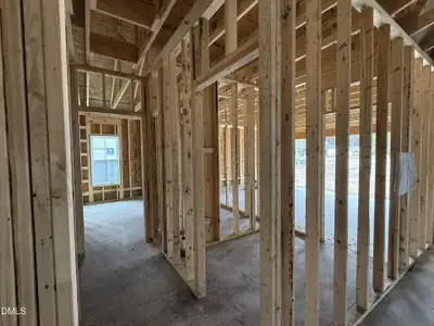 New construction Single-Family house 1775 Walnut Run Dr, Deep Run, NC 28525 - image