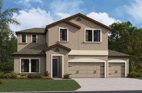 New construction Single-Family house 5379 Wolf Creek Dr, Apollo Beach, FL 33572 null- photo 0