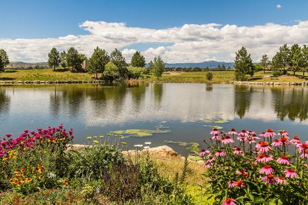 New construction Single-Family house 8033 Golden Bear Ln, Castle Pines, CO 80108 plan Residence 4 - image 16