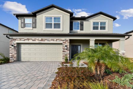 New construction Single-Family house 38433 Pindos Dr, Dade City, FL 33525 Mira Lago- photo 181 181