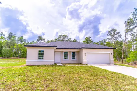 New construction Single-Family house 13 Oak Trail Pl, Ocala, FL 34472 - image