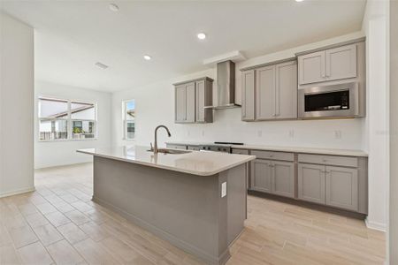 New construction Single-Family house 11830 Moonsail Dr, Parrish, FL 34219 - image 10