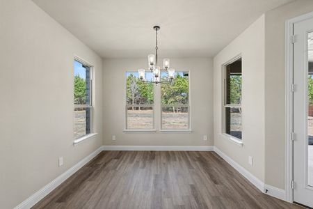 New construction Single-Family house 7041 Champion, Midlothian, TX 76065 - image 17
