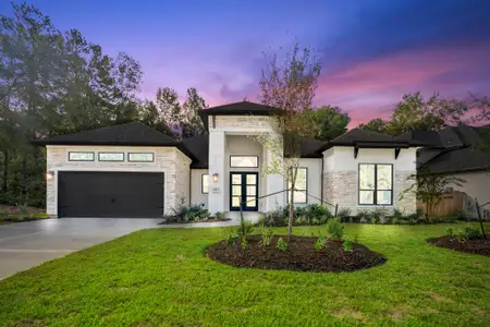 New construction Single-Family house 209 Lilac Tree Ct, Willis, TX 77318 - image