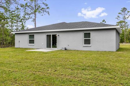New construction Single-Family house 11 Malauka Lane Dr, Ocklawaha, FL 32179 - image