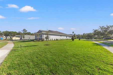 New construction Single-Family house 19486 Sheltered Hill Dr, Brooksville, FL 34601 null- photo 27 27