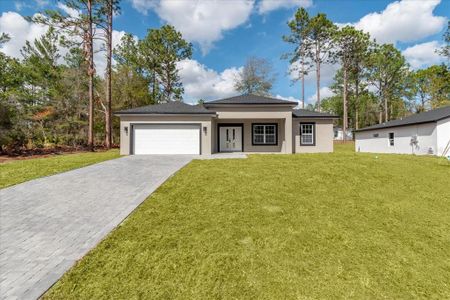 New construction Single-Family house 1621 W Citrus Springs Blvd, Citrus Springs, FL 34434 - image