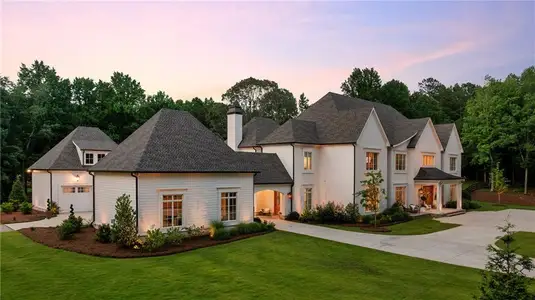 New construction Single-Family house 397 Owens Store Rd, Canton, GA 30115 - image