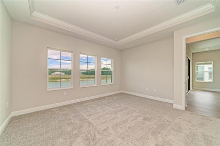 New construction Single-Family house 35563 Stableton Ln, Zephyrhills, FL 33541 plan Vinoy - image 14