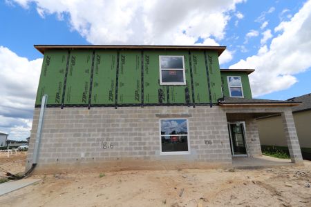 New construction Single-Family house 12219 Hilltop Farms Dr, Dade City, FL 33525 Malibu- photo 35 35