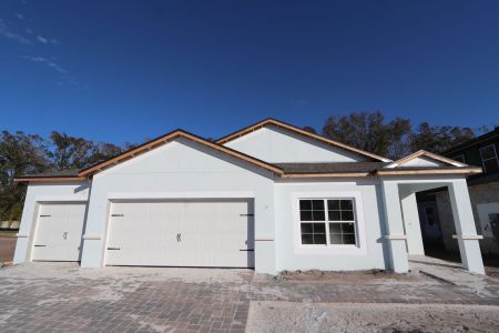 New construction Single-Family house 20339 Oriana Loop, Land O' Lakes, FL 34638 Newport II- photo 78 78