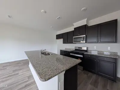 New construction Townhouse house 2530 Olive Chapel Rd, Apex, NC 27502 - image