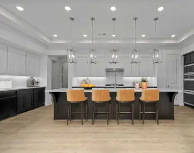 New construction Single-Family house Van Alstyne, TX 75495 plan Regis - image 7