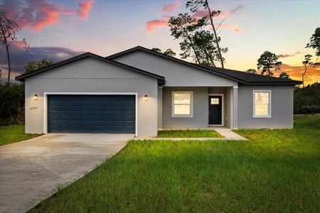 New construction Single-Family house 17958 Sw 36Th Ave, Ocala, FL 34473 - image
