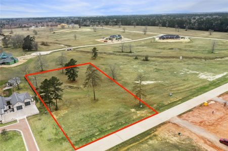 New construction Single-Family house 2418 Emerie Arbor Ln, Hockley, TX 77447 - image 4