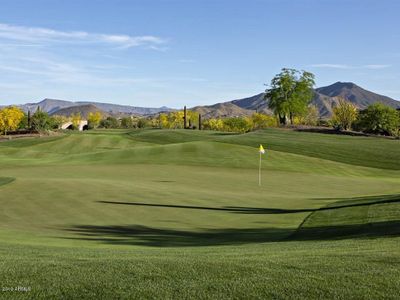 New construction Single-Family house 37200 N Cave Creek Rd, Unit 1004, Scottsdale, AZ 85262 - image 15