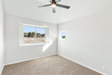 New construction Single-Family house 117 Red Cedar Ct, Balch Springs, TX 75181 null- photo 24 24