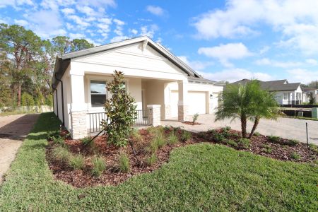 New construction Single-Family house 20219 Oriana Loop, Land O' Lakes, FL 34638 Corina  III- photo 80 80