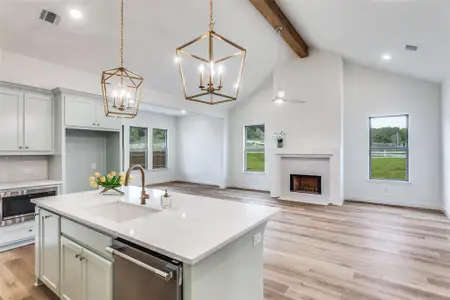 New construction Single-Family house 912 Triple Crown Ct, Willow Park, TX 76087 plan Austin I - image 6