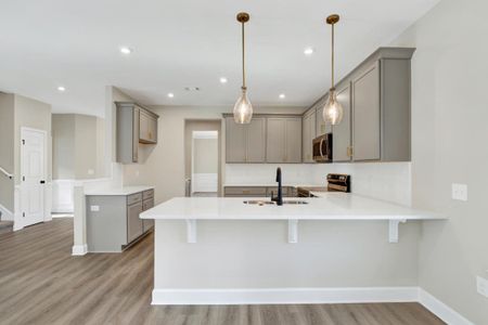 New construction Single-Family house 245 James Dr, Richmond Hill, GA 31324 plan Oscar Mulberry - image 6