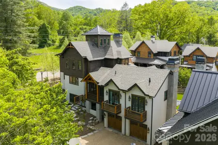 New construction Single-Family house 25 Rantis Ln, Black Mountain, NC 28711 - image
