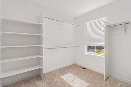 New construction Single-Family house 1953 Morgan Dr, Erie, CO 80516 null- photo 14 14