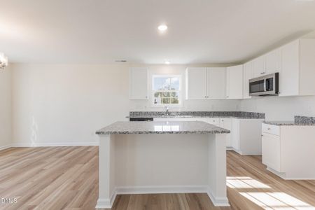 New construction Single-Family house 32 Littlefield Ln, La Grange, NC 28551 - image 5