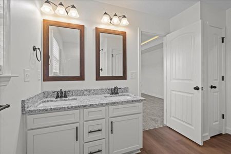 New construction Single-Family house 528 Adventure Isla Wy, Campobello, SC 29322 - image 10