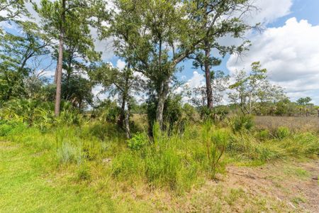 New construction Single-Family house 465 Lesesne Street, Charleston, SC 29492 - photo 30 30