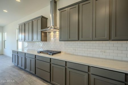 Range Hood and Cooktop