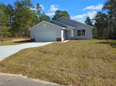 New construction Single-Family house 176 Guava Pass, Ocklawaha, FL 32179 - photo 0