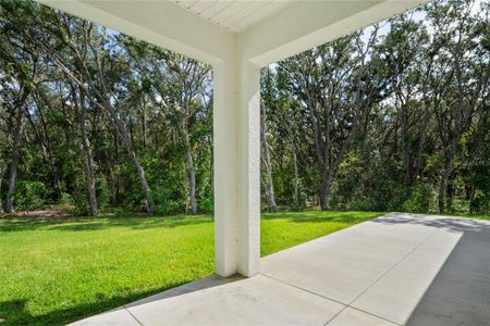 New construction Single-Family house 279 W Pearson St, Hernando, FL 34442 - image 13