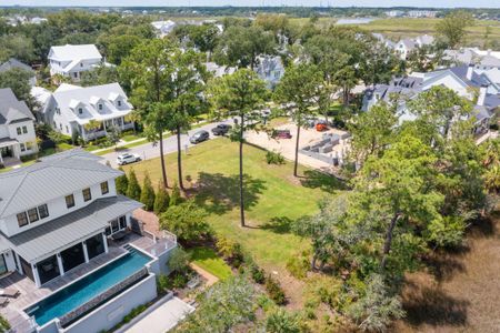 New construction Single-Family house 465 Lesesne Street, Charleston, SC 29492 - photo 24 24