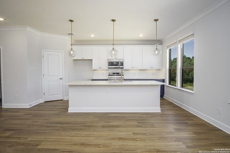 New construction Single-Family house 8923 Summerwood Bend, San Antonio, TX 78254 Palmer- photo 5 5