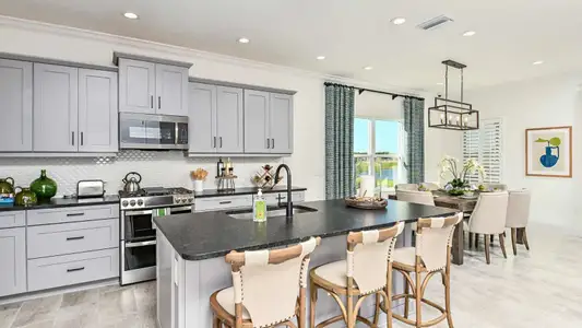 New construction Single-Family house 2440 Star Apple Wy, Lakewood Ranch, FL 34240 plan Triumph - image 6
