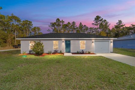 New construction Single-Family house 2388 Sw 143Rd Ct, Ocala, FL 34481 - photo 0