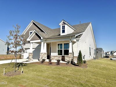 New construction Single-Family house 99 Little Branch Dr, Lillington, NC 27546 - image