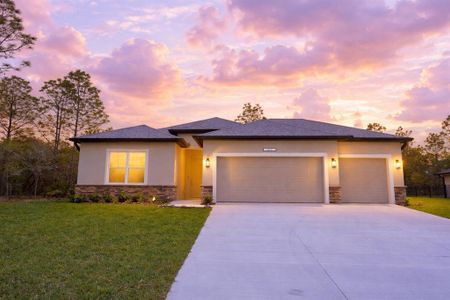 New construction Single-Family house 87 Vinca St, Homosassa, FL 34446 - image