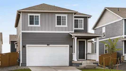 New construction Single-Family house 1205 Trilling Dr, Windsor, CO 80550 plan Edmon - image