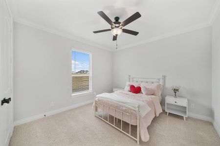 New construction Single-Family house 11018 Moon Light Dr, Needville, TX 77461 - image 16