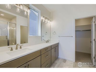 New construction Single-Family house 1854 Equinox Dr, Windsor, CO 80550 plan Plan C417 - image 12